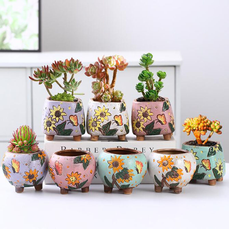 Echeveria Succulent - Pot de plantes succulentes à motif
