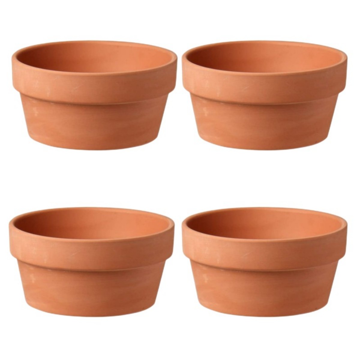 Pots de fleurs en terre cuite, - Echeveria Succulent avis et prix