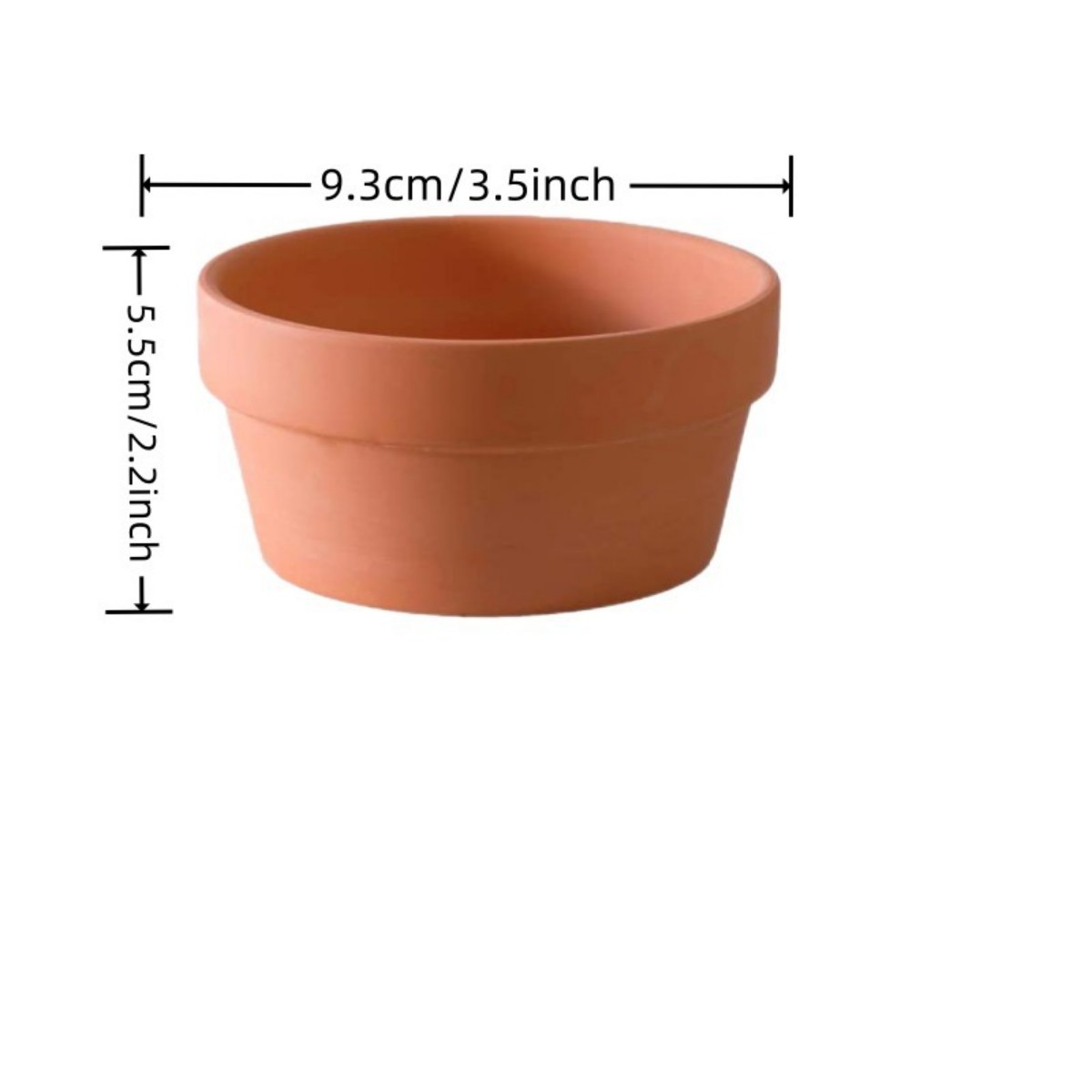 Pots de fleurs en terre cuite, - Echeveria Succulent avis et prix