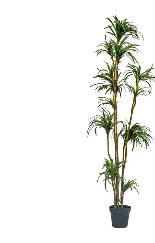 Plante artificielle Dracaena D - Dracaena Marginata avis et prix