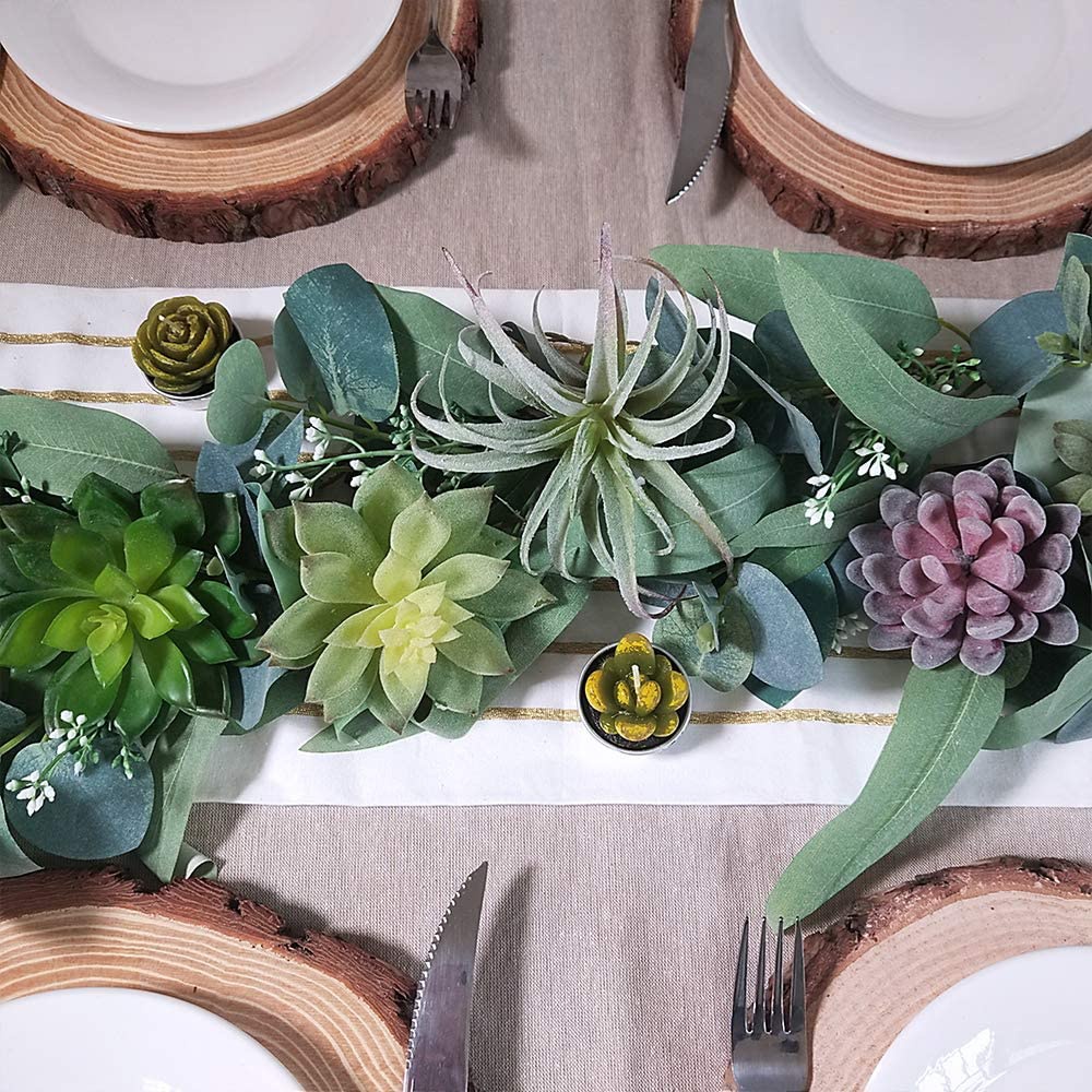 Lot de 15 plantes succulentes  - Echeveria Succulent avis et prix