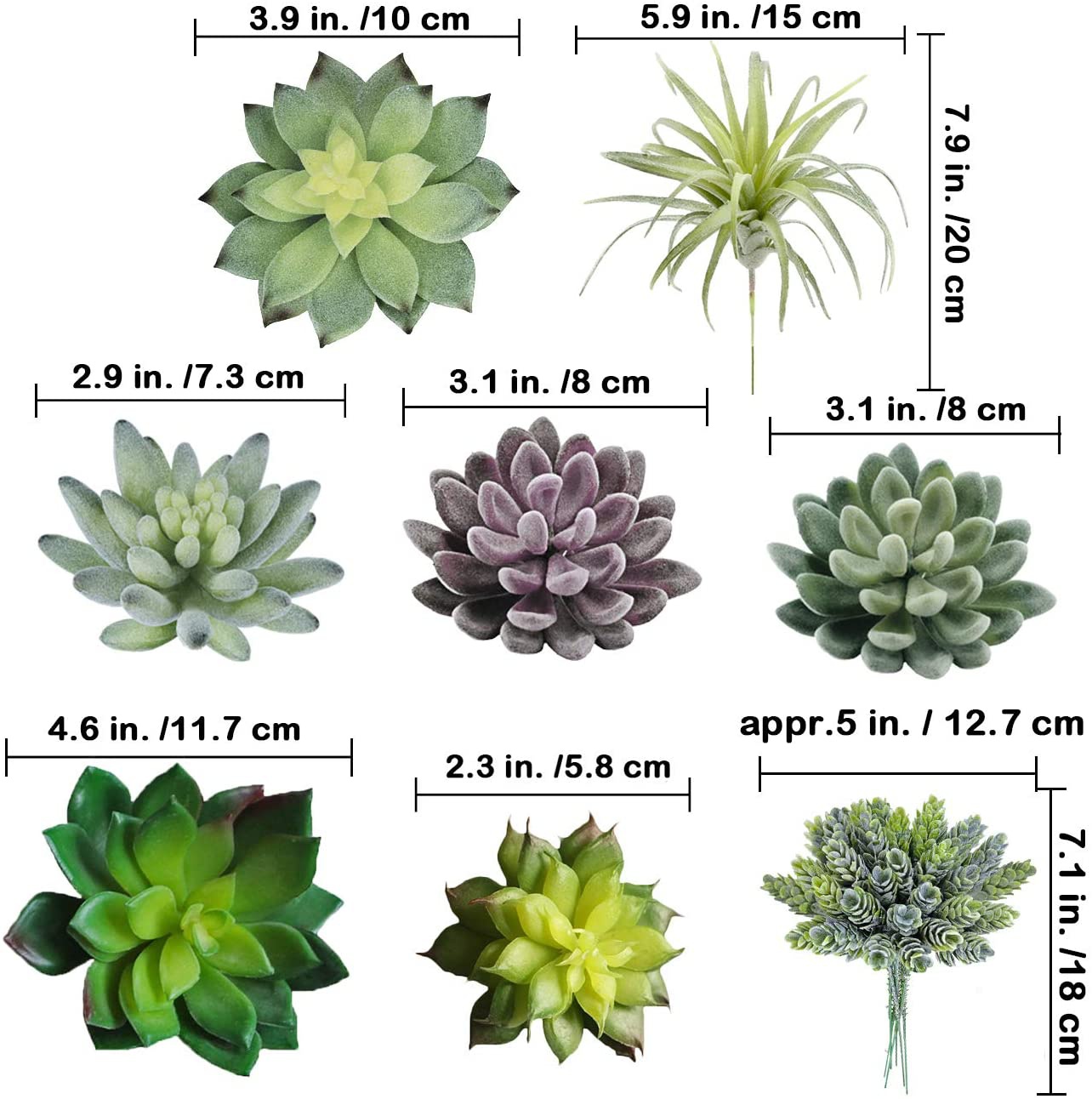 Lot de 15 plantes succulentes  - Echeveria Succulent avis et prix