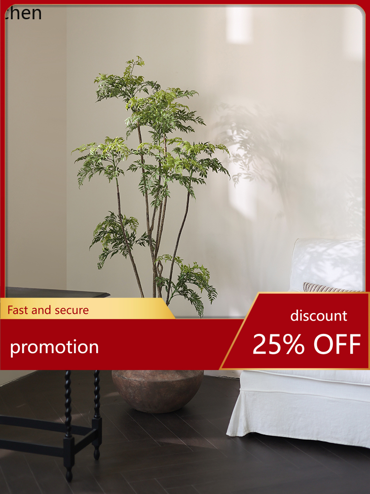 Vase de sol LYY, plante verte  - Ficus Lyrata Tree avis et prix