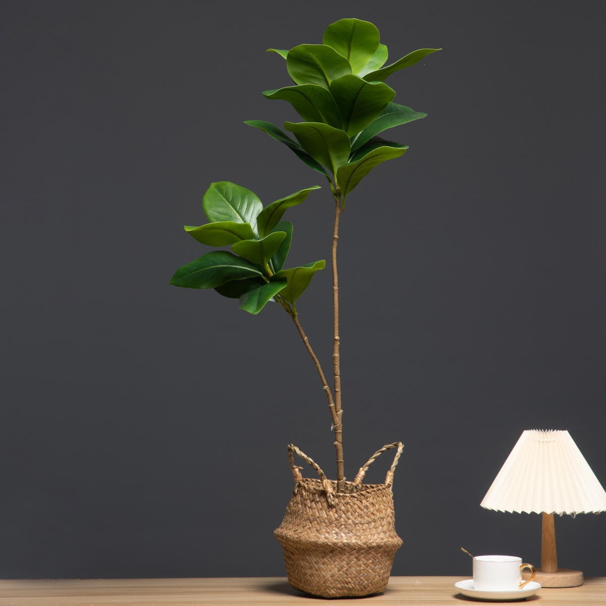 Grands plantes artificielles d - Dracaena Marginata avis et prix